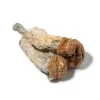 Buy Penis Envy Dried