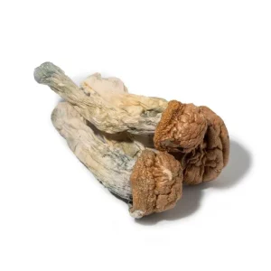 Buy Penis Envy Dried